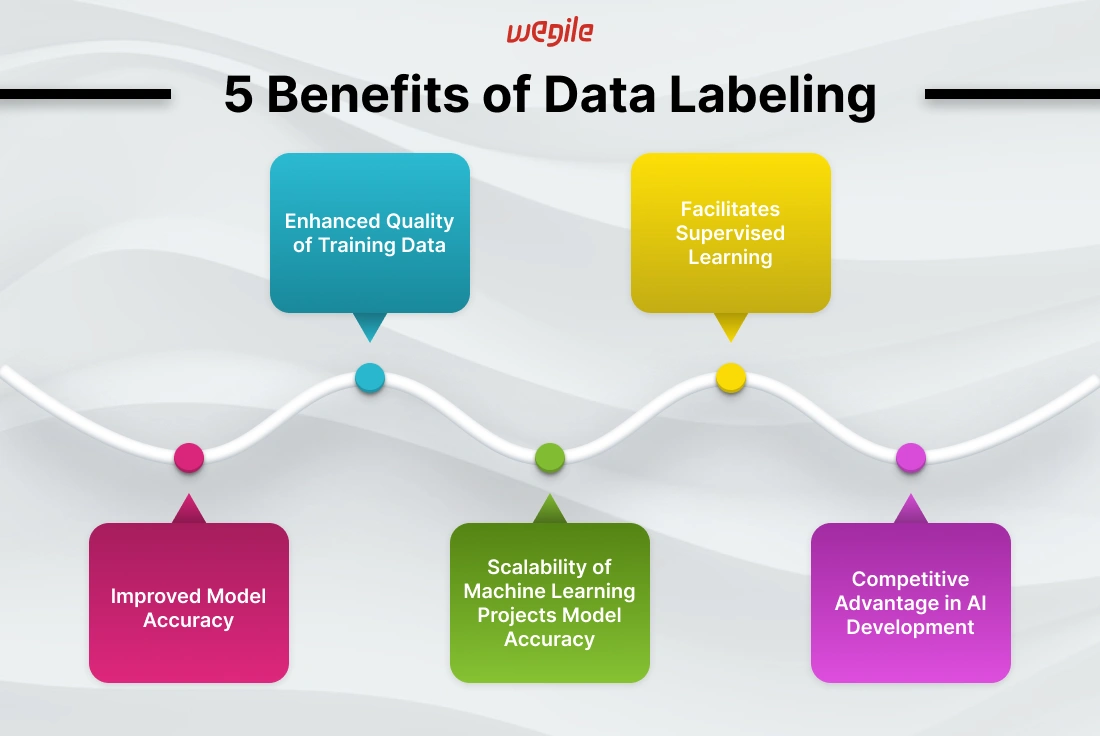 Data Labeling in Machine Learning: A Comprehensive Guide